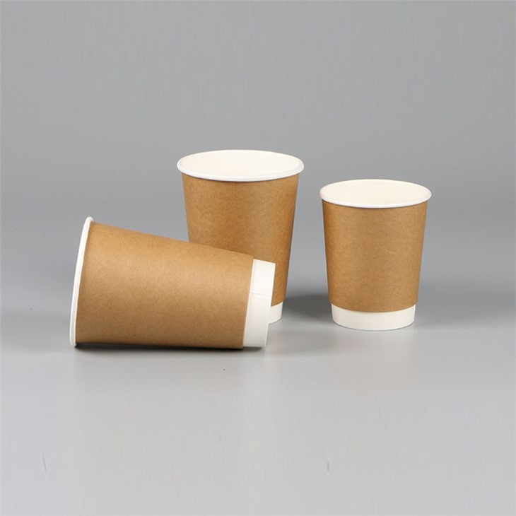 insulated double wall disposable cups